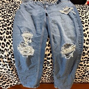 American Eagle Outfitters Classic Blue Denim